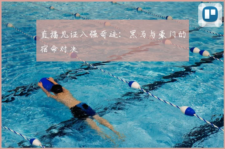 直播见证八强奇迹:黑马与豪门的宿命对决
