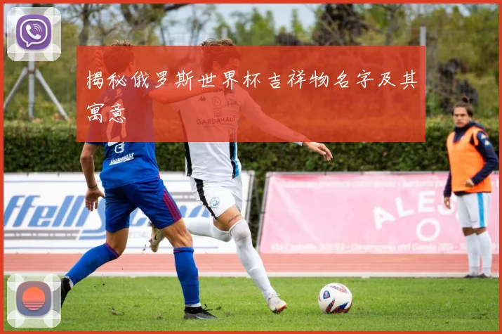 揭秘俄罗斯世界杯吉祥物名字及其寓意
