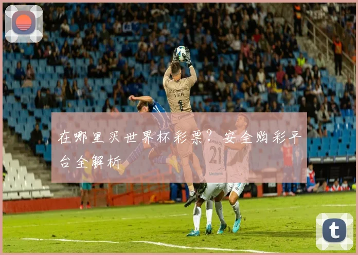 在哪里买世界杯彩票?安全购彩平台全解析