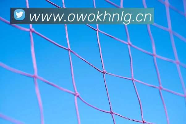 米兰app登录入口品牌故事