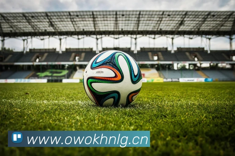 米兰app登录入口服务体系